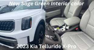 Sage Green Serenity: Experience Luxury Inside the Kia Telluride with Sage Green Interior!